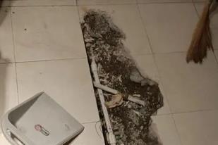 大新卫生间漏水检测电话